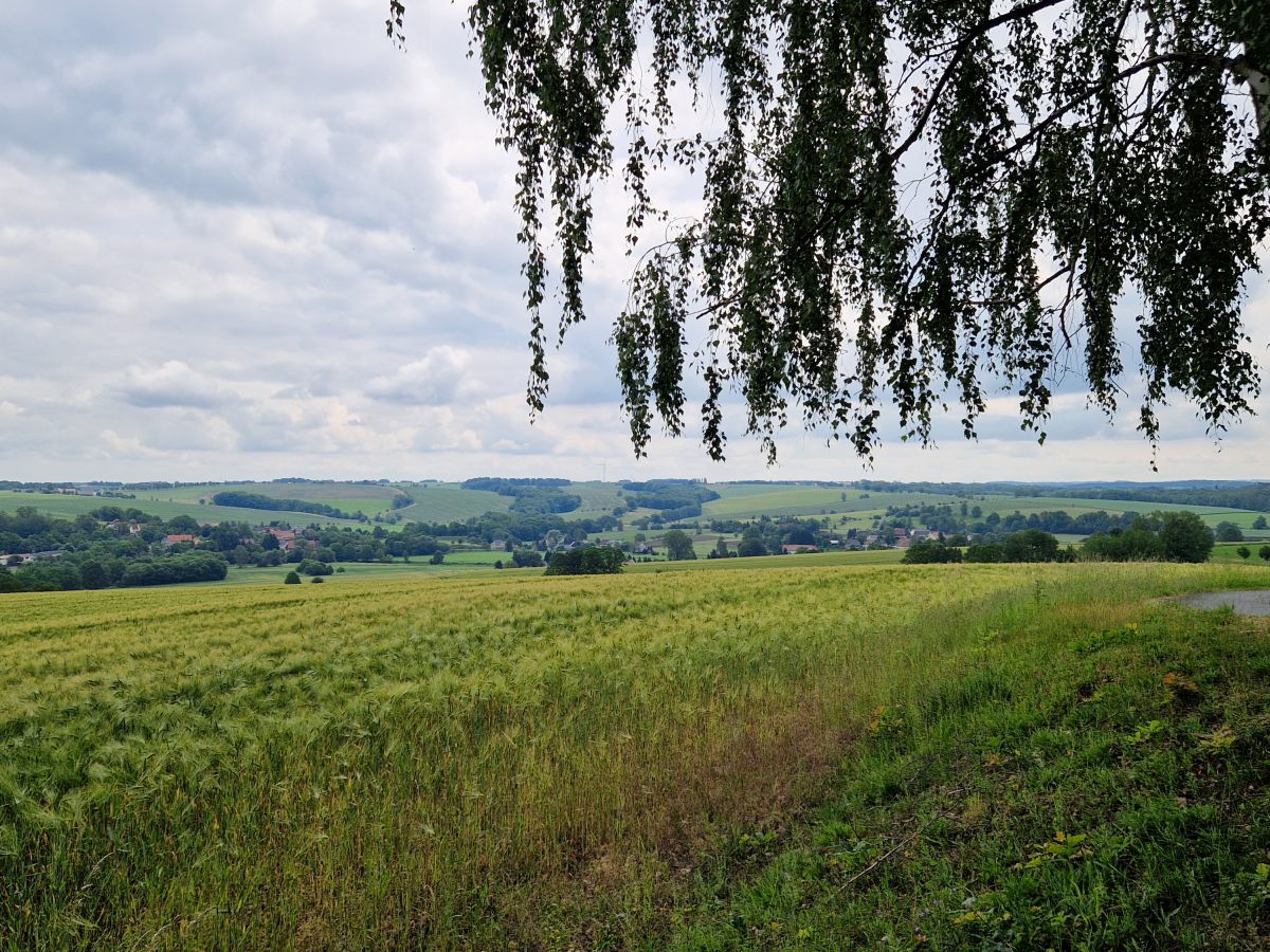 Muldental